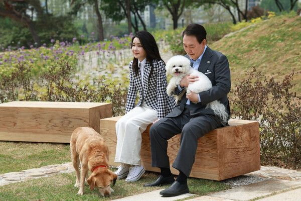  윤석열·김건희 구속 뒤 사저 남겨진 반려동물들…누가 돌보나