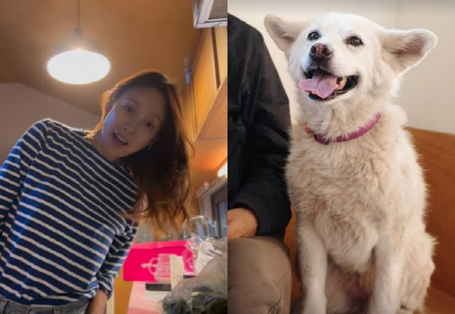 이효리, 암투병 반려견 떠나보내… "잘 가라, 석삼이"