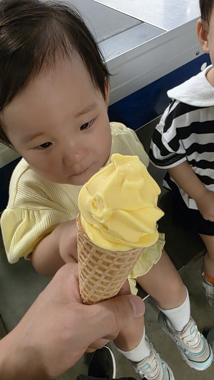  이케아 고양점 망고아이스크림 내돈내산 솔직 후기 (쌍둥이아빠의 꿀팁 대방출!)