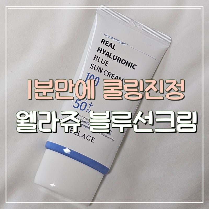 여름 선크림 추천! 웰라쥬 블루선크림 솔직후기