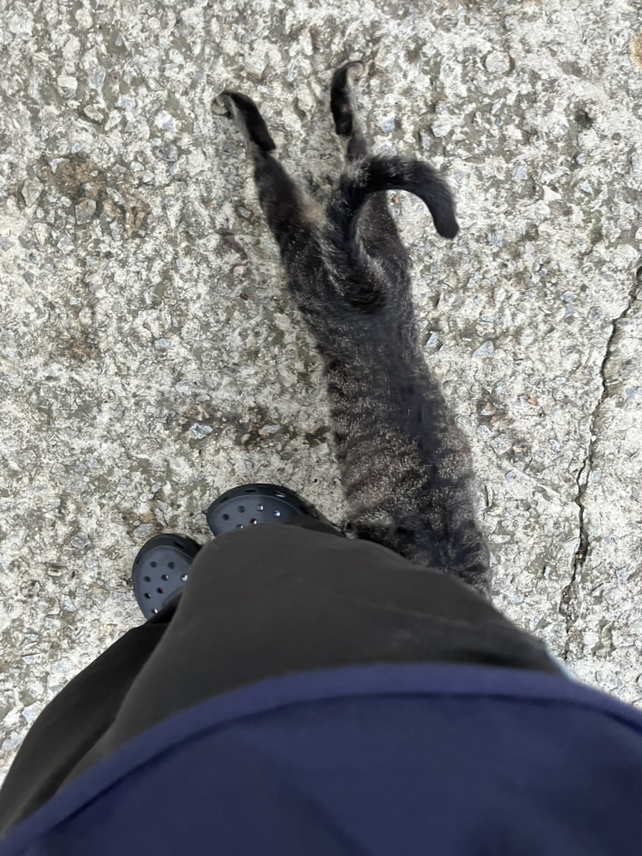 제주오겹살식당 사진 4