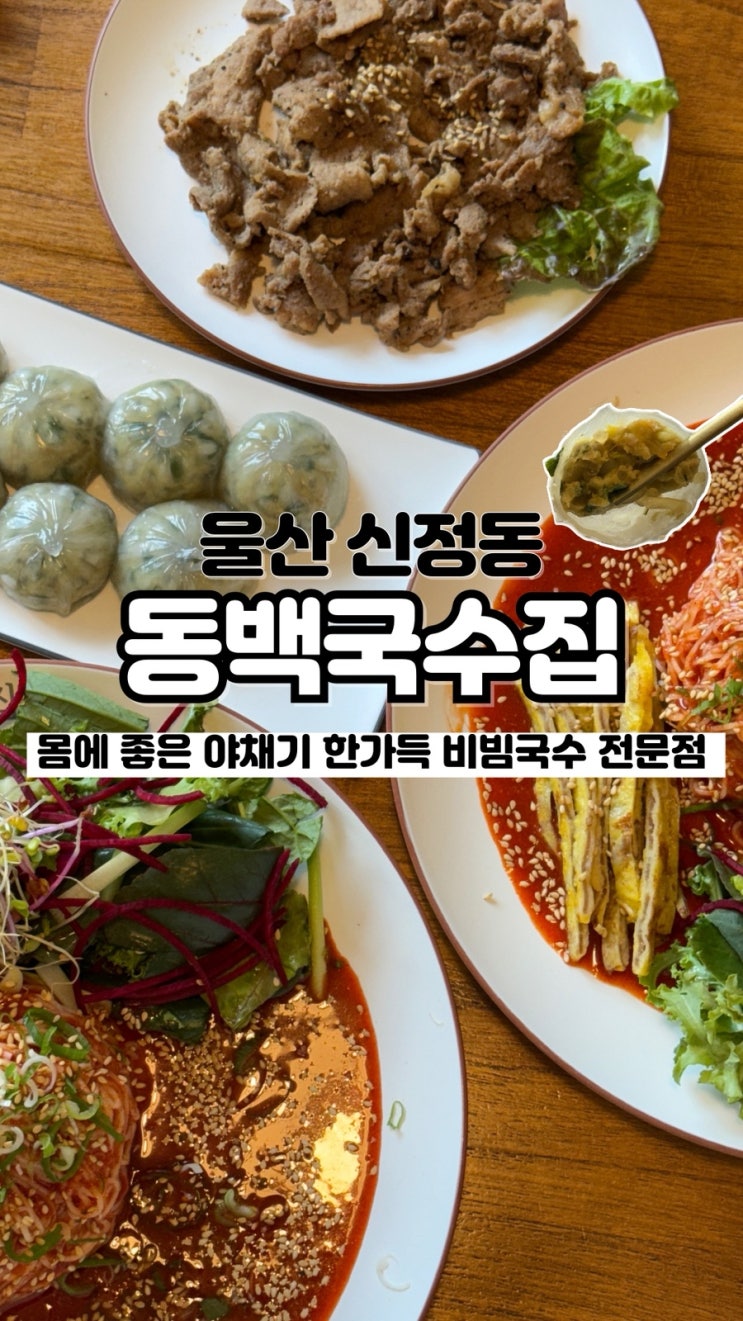  주택을 개조해 분위기까지 좋은 울산 비빔국수 맛집 동백국수집 울산신정점