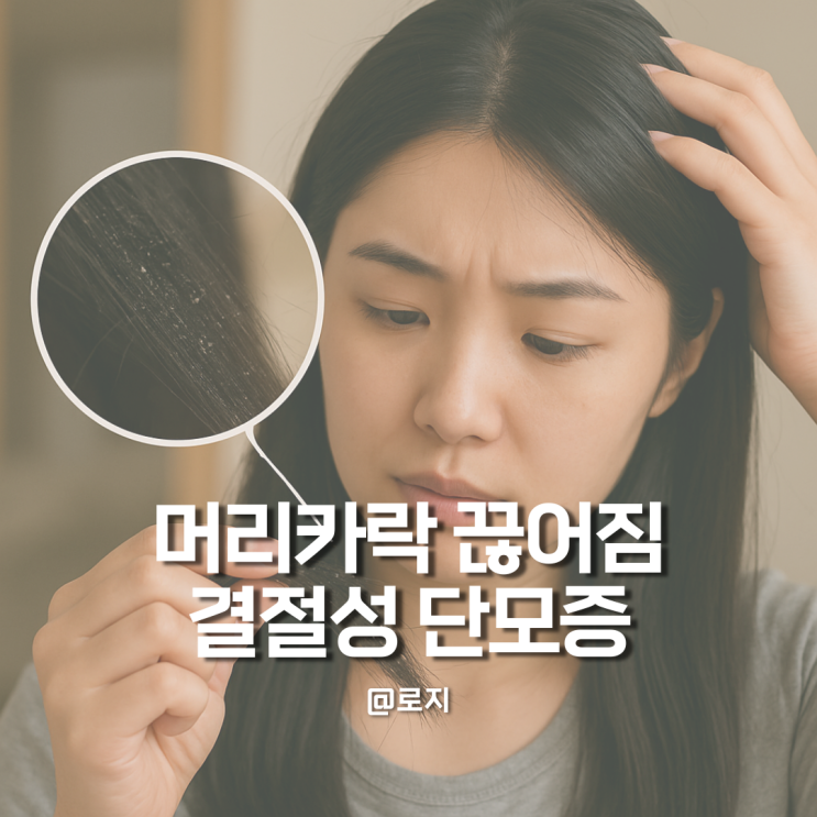  뚝뚝 끊어지는 모발 하얀 점처럼 보이는 머리카락 결절성 열모증