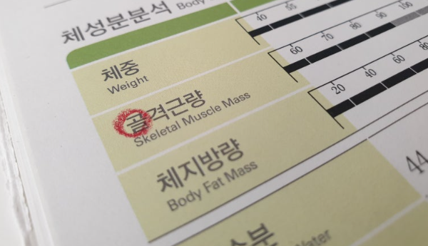  남자 여자 정상 평균 골격근량 체지방량 계산