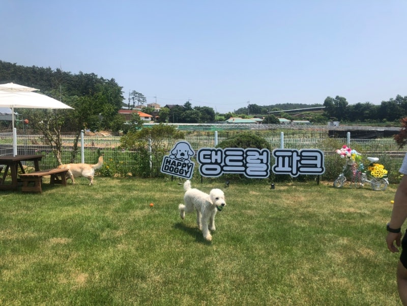 사진 4