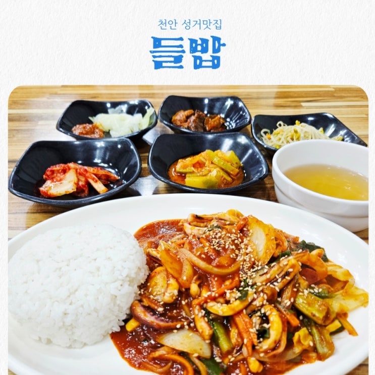  천안 성거 혼밥 맛집 들밥 feat 가정식백반 맛집