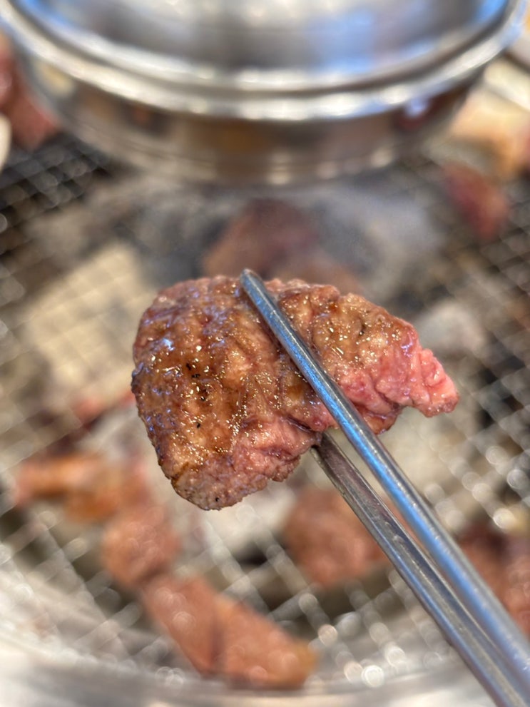  강릉 가족여행 맛집 소고기부터 육회까지 합리적인 가격 스타먹소고기무한