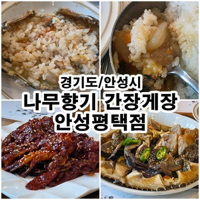  [안성 맛집] 밥도둑 인정! ‘나무향기 간장게장’에서 만난 왕특대 꽃게 한상