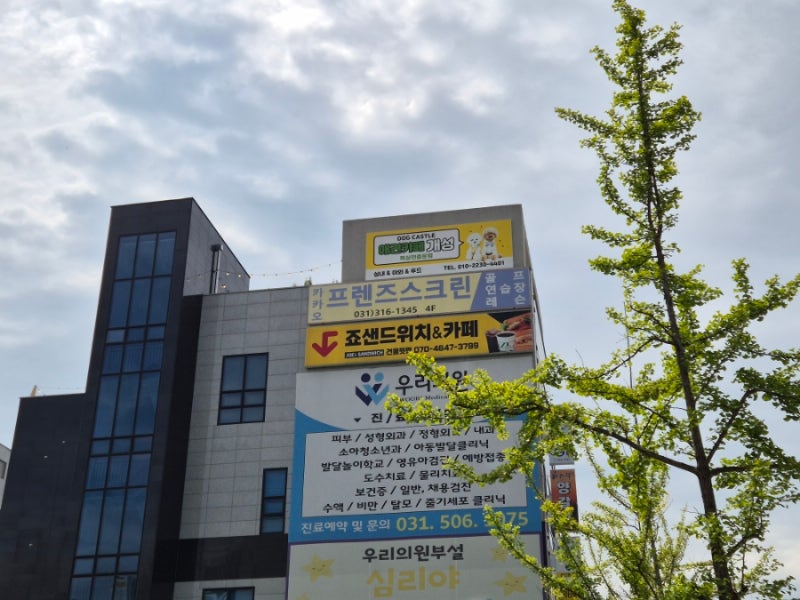 사진 5
