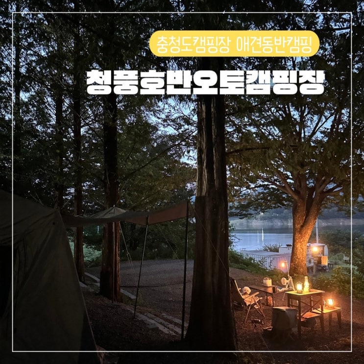  청풍호반오토캠핑장 A사이트 명당 애견동반 솔로캠핑