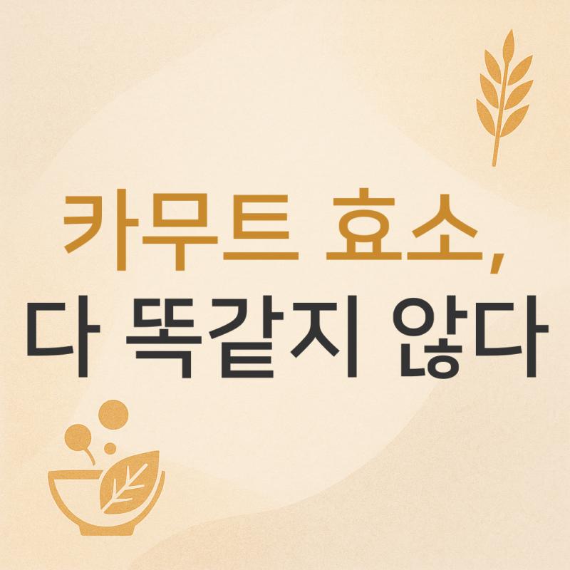 카무트 효소 분말 고르는법, 카므트 BEST3 비교 끝판왕