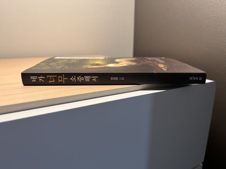  전지민 작가 에세이 네가 너무 소중해서 서평