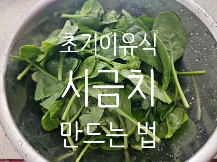  초기이유식 야채: [시금치] 손질법