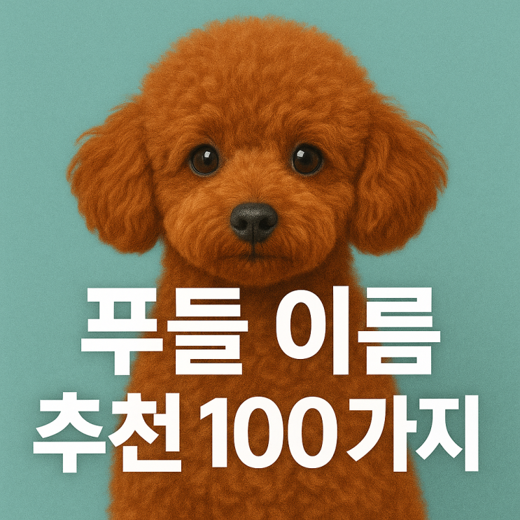 푸들이름추천 100가지 남아 여아 특징까지!