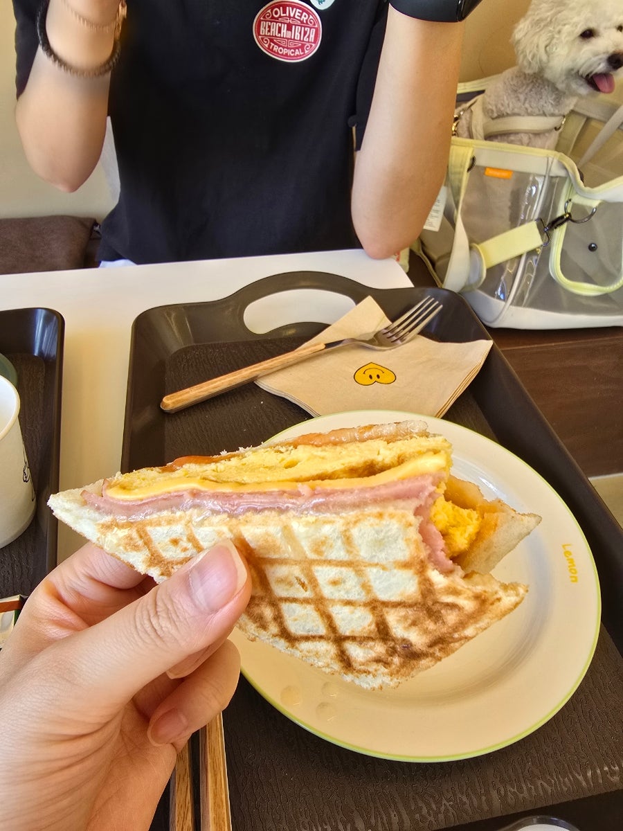 카페코너코너 사진 5