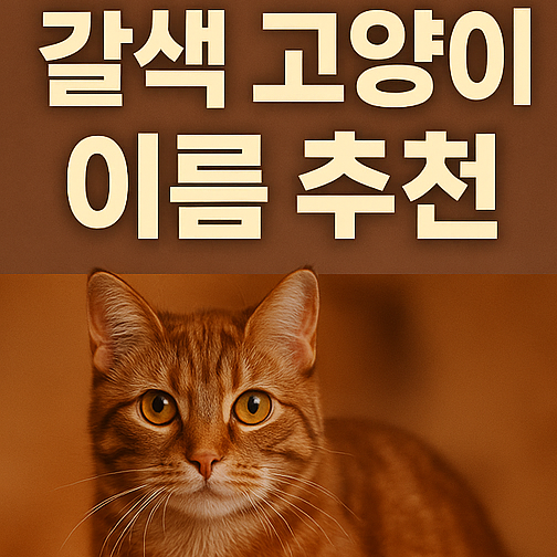  갈색 고양이 이름 추천 성별, 영어 100가지
