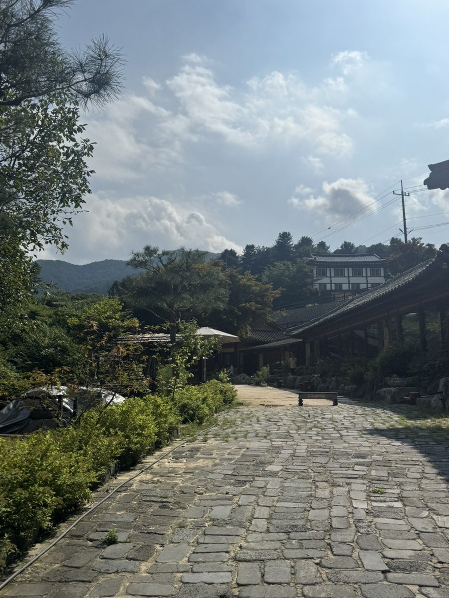 두메산골펜션 사진 5