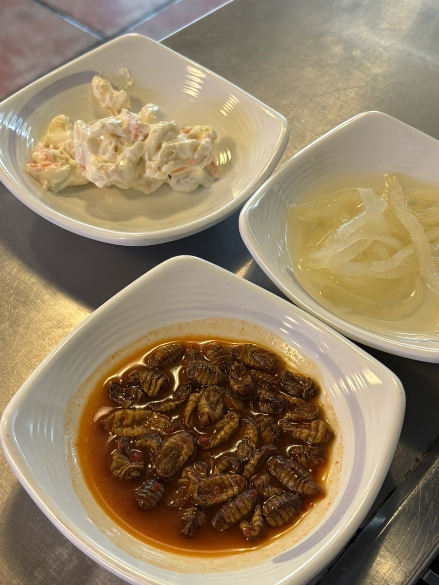 굴사냥조개사냥 사진 6