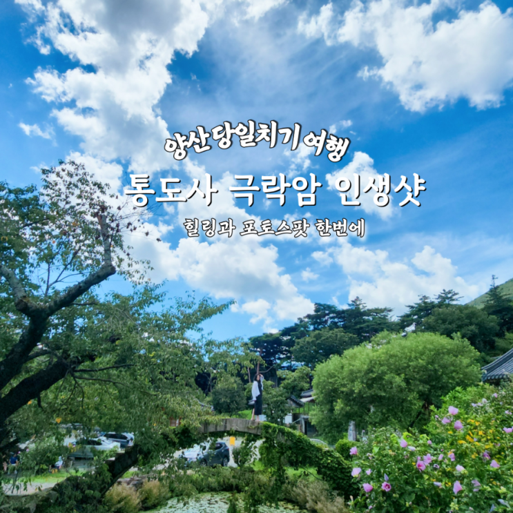  양산 통도사 당일치기  절밥체험 + 극락암 인생샷까지 힐링 코스 완전정복
