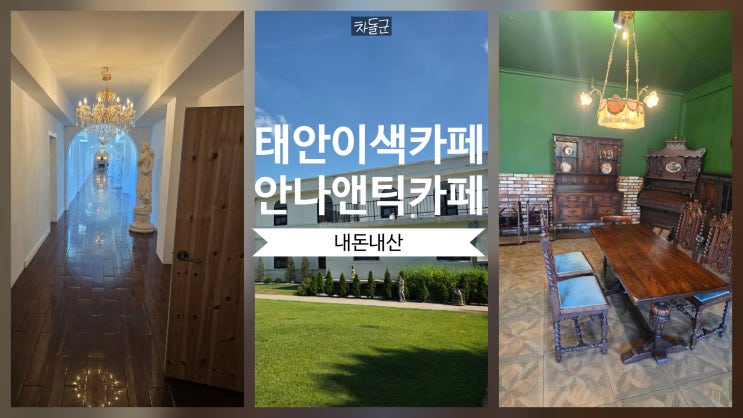  태안 폐교에서 멋진 대형 이색 카페로 안나앤틱카페 (주차 애견동반 포토존)