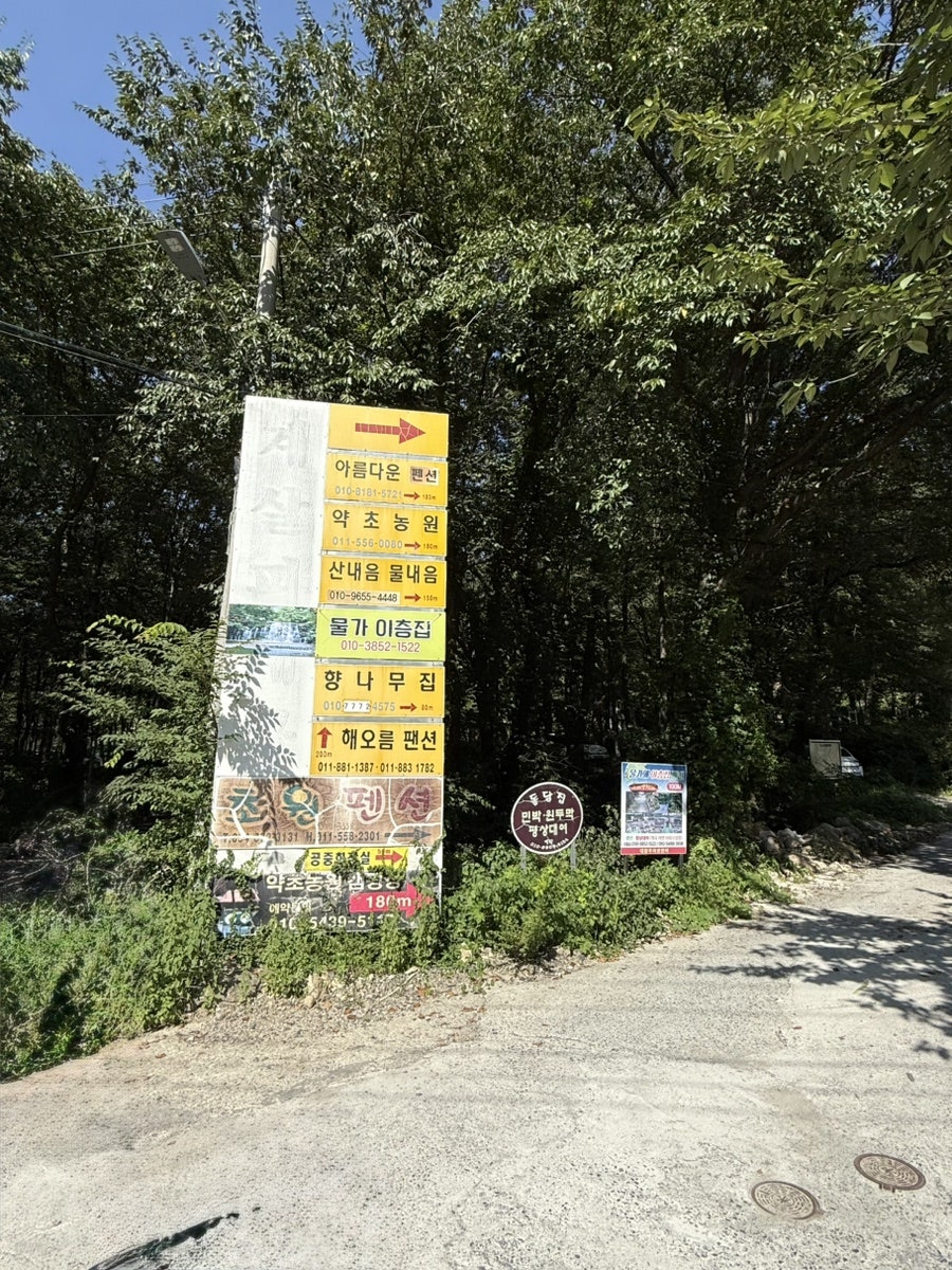 약초농원캠핑장 사진 3