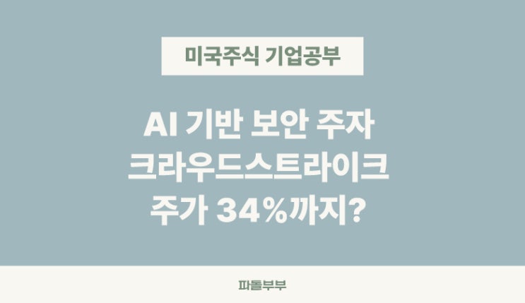 미국주식 크라우드스트라이크 CRWD 홀딩스 주가 기업 전망 분석