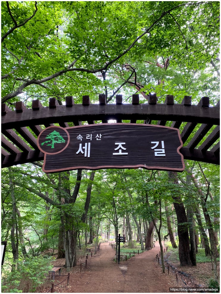  속리산 세조길, 법주사와 문장대로 이어지는 왕의 숲길
