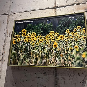 되도록이면 길게