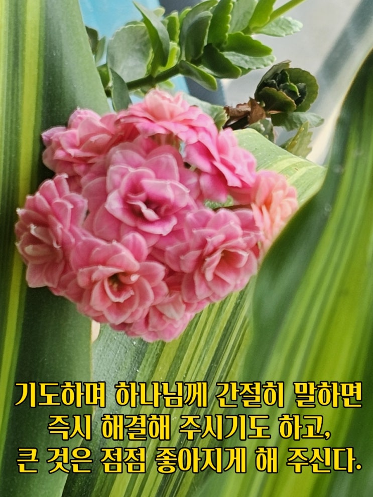  jms 정명석목사 잠언 ㅡ 하나님께 간절히 말하면
