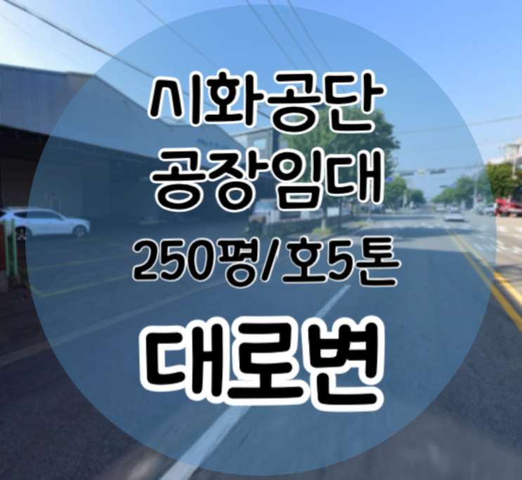  시화공단 공장 임대 200평 250평 대로변 위치, 진출입 최상 [시화공단 부동산]