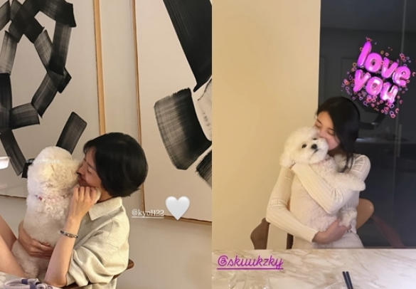  "송혜교" 집에 놀러 간 "수지"…루비와 함께한 따뜻한 우정샷 공개 