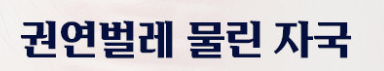  권연벌레 물린자국?사실 이 벌레는 사람을 물지 않아요! (진짜 원인 찾기)