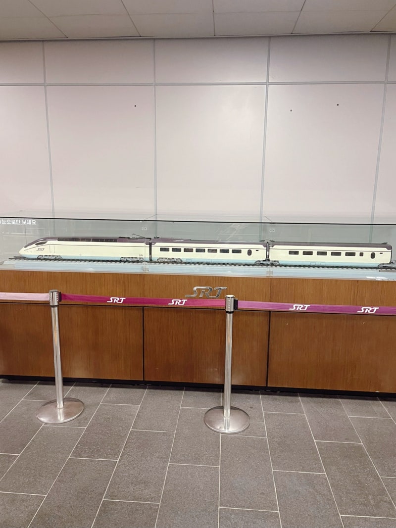 코엑스 아쿠아리움 후기｜인어공주 공연 시간 & 입장료 총정리