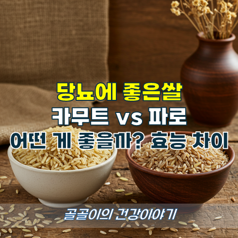 당뇨에좋은쌀 카무트 vs 파로 효능 차이 비교