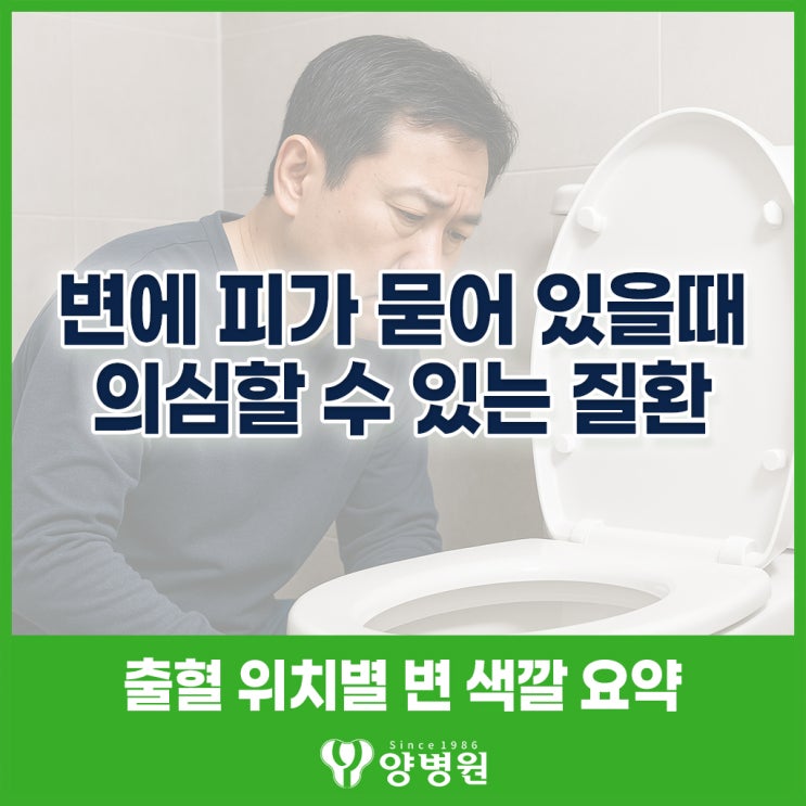  변에 피가 묻어 있을 때, 의심할 수 있는 질환과 피색깔 | 길동 대장항문외과
