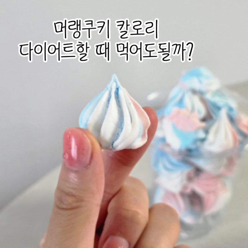 머랭쿠키 칼로리, 다이어트할 때 먹어도 될까? 허벌라이프 여름코치가 알려드려요