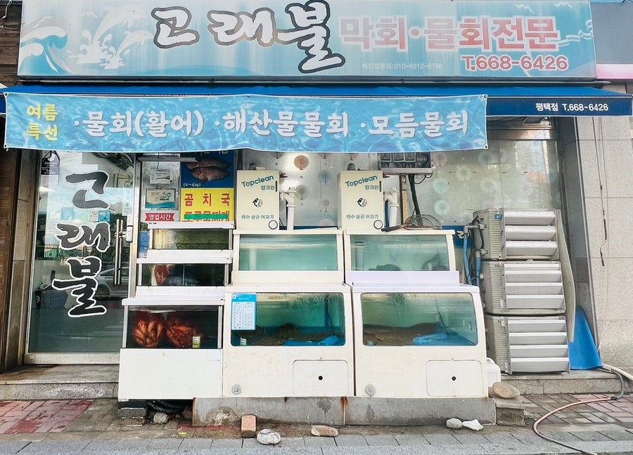 고래불 사진 1