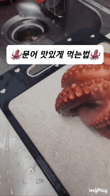 문어 맛있게 먹는법,문어 삶는법,문어요리