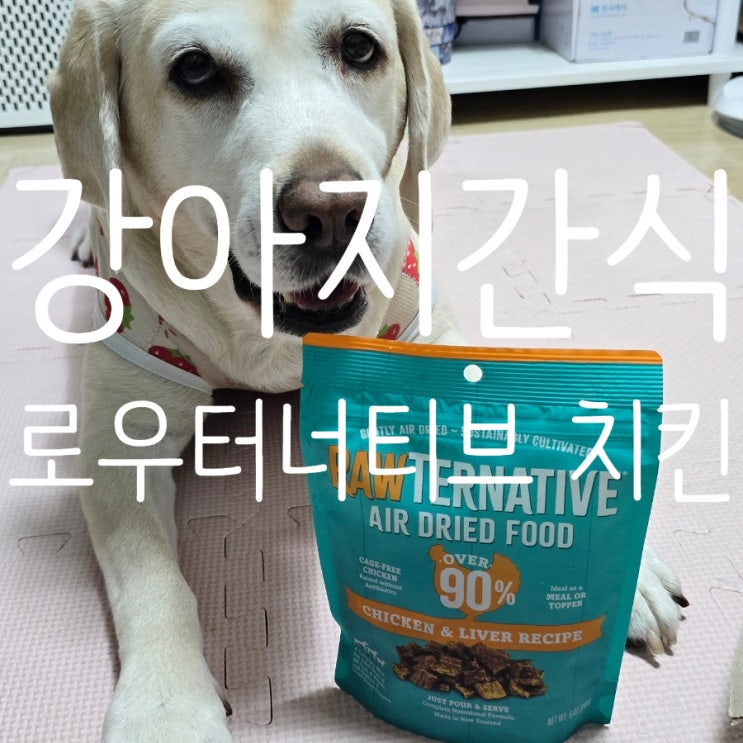  강아지간식 글루텐프리 에어드라이사료 로우터너티브 치킨 급여후기