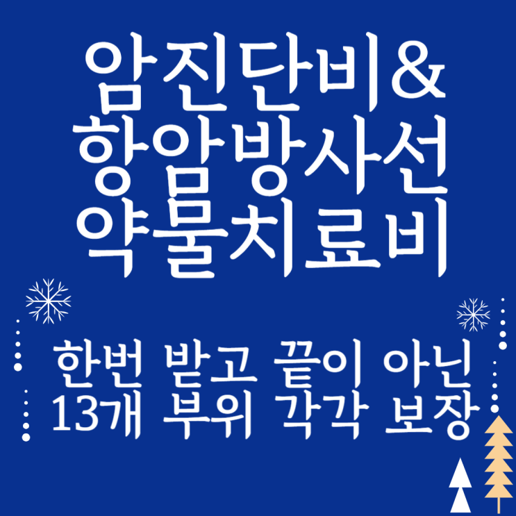  암 진단비·항암치료비 13개 부위별 보장! 한 번이 아닌 최대 13번까지