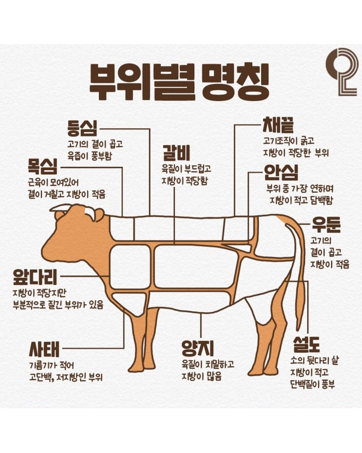  소고기 부위별 특징과 요리법-코스트코 장보기 복습ㅋㅋ