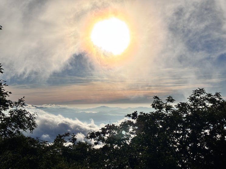  내연산(8/9), 팔공산(8/17)