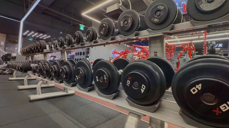  익스홀릭 가넷 야탑점, PT로 특별한 헬스 경험을 만나다