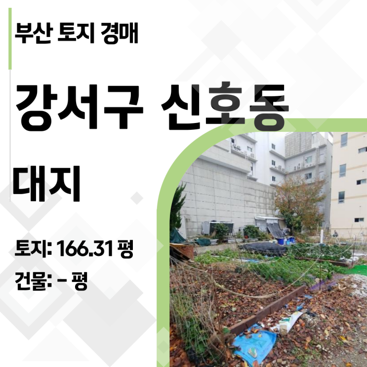  #토지경매 부산 강서구 신호동 토지, 45% 파격가! 진짜 투자 기회일까?