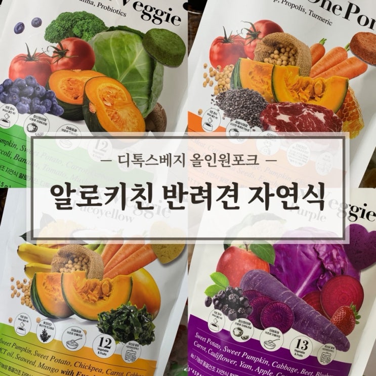  강아지 건강식 고민 끝 알로키친 디톡스베지 내돈내산 솔직 후기