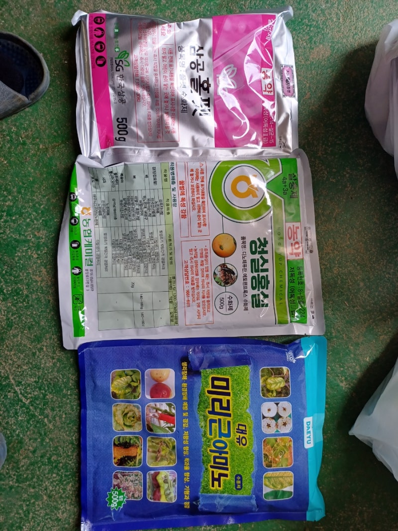 15회차 특별방제