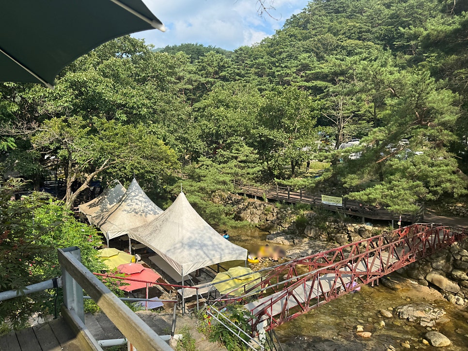 솔마루 사진 6