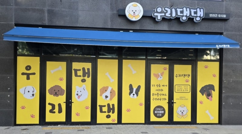 사진 2