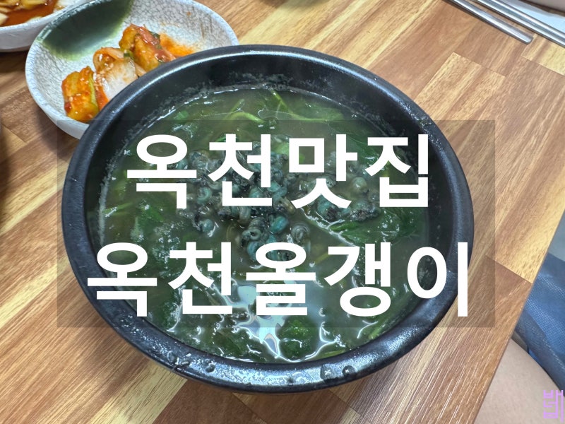 옥천 맛집 옥천올갱이, 올갱이해장국 다슬기해장국 주차 메뉴 올갱이 효능
