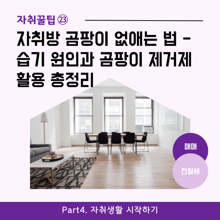  [자취꿀팁㉓] 자취방 곰팡이 없애는 법 - 습기 원인과 곰팡이 제거제 활용 총정리
